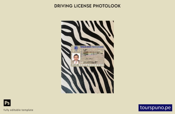 Plantilla frontal de aspecto fotográfico del permiso de conducir de Andorra list